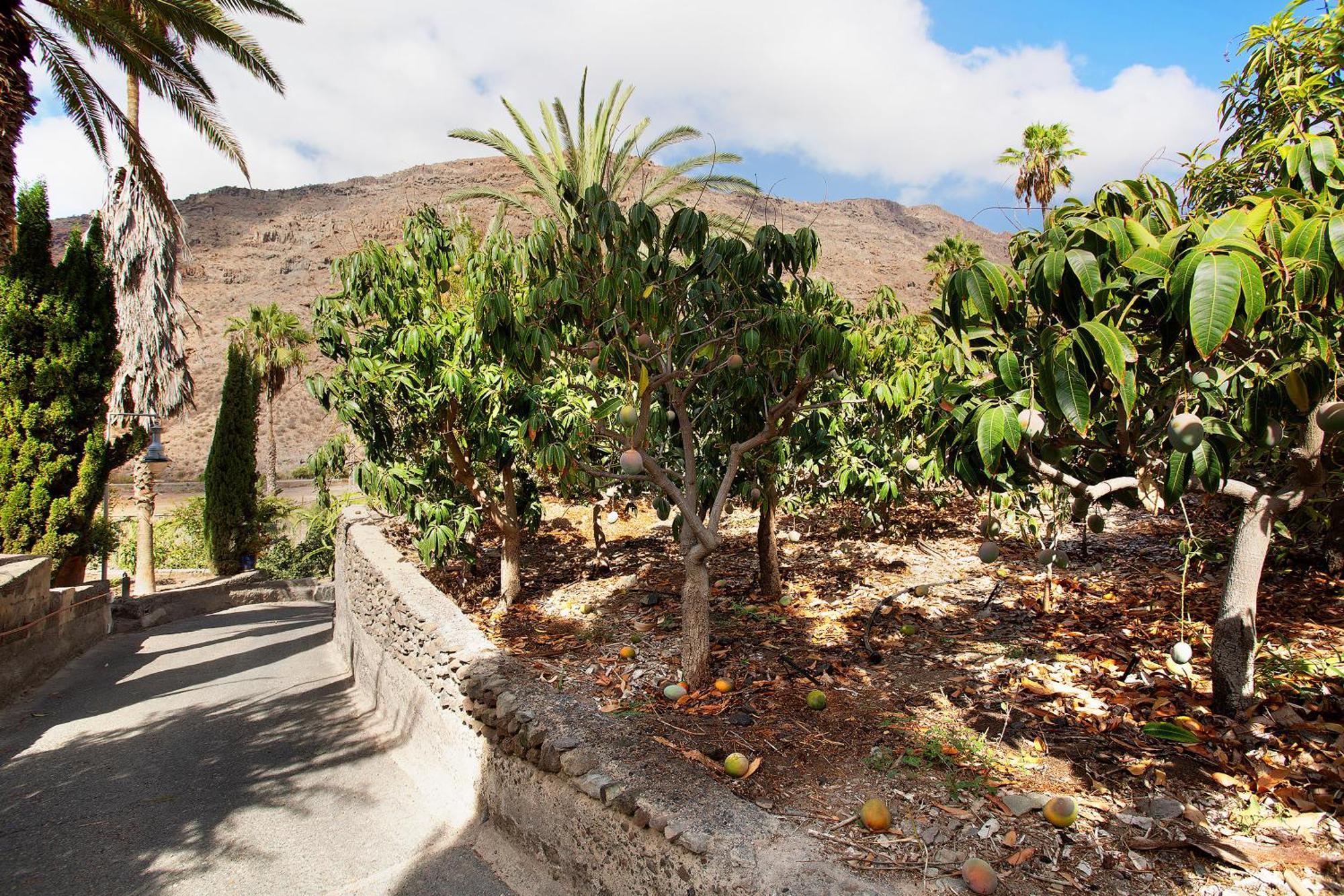 El Granero Paraiso Del Molinero Mogán المظهر الخارجي الصورة